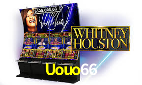 Programa VIP Uouo66
